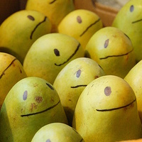 Fearless Mangos crest